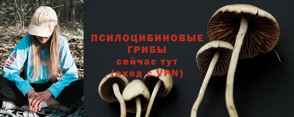 кристаллы Алзамай