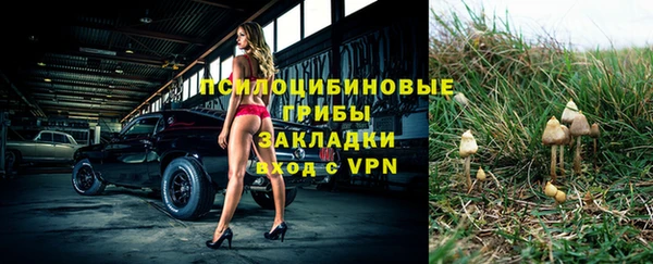 a pvp Алексин