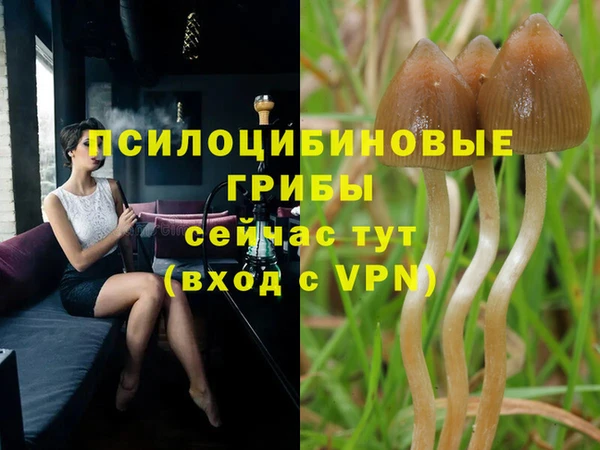 a pvp Алексин
