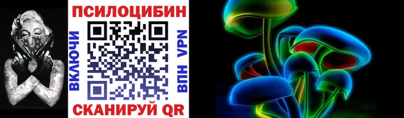 мега как войти  Буй  Псилоцибиновые грибы мицелий 